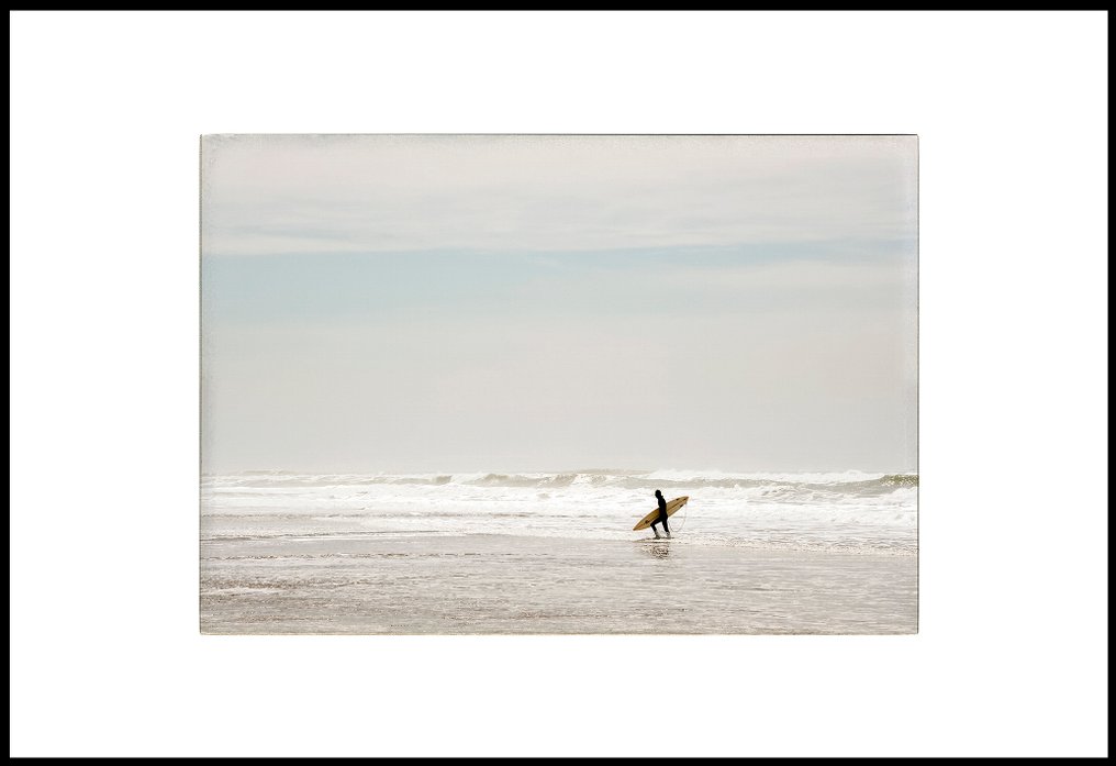 Roberto Cavalli - Into the wild / #382 #4.3