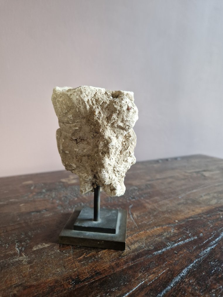 Gandhara Hoofd，约公元2至3世纪。（最初被认为是17世纪的古董） - 砂岩 - 印度 - 阿拉維多王朝（16-17世紀） #2.1