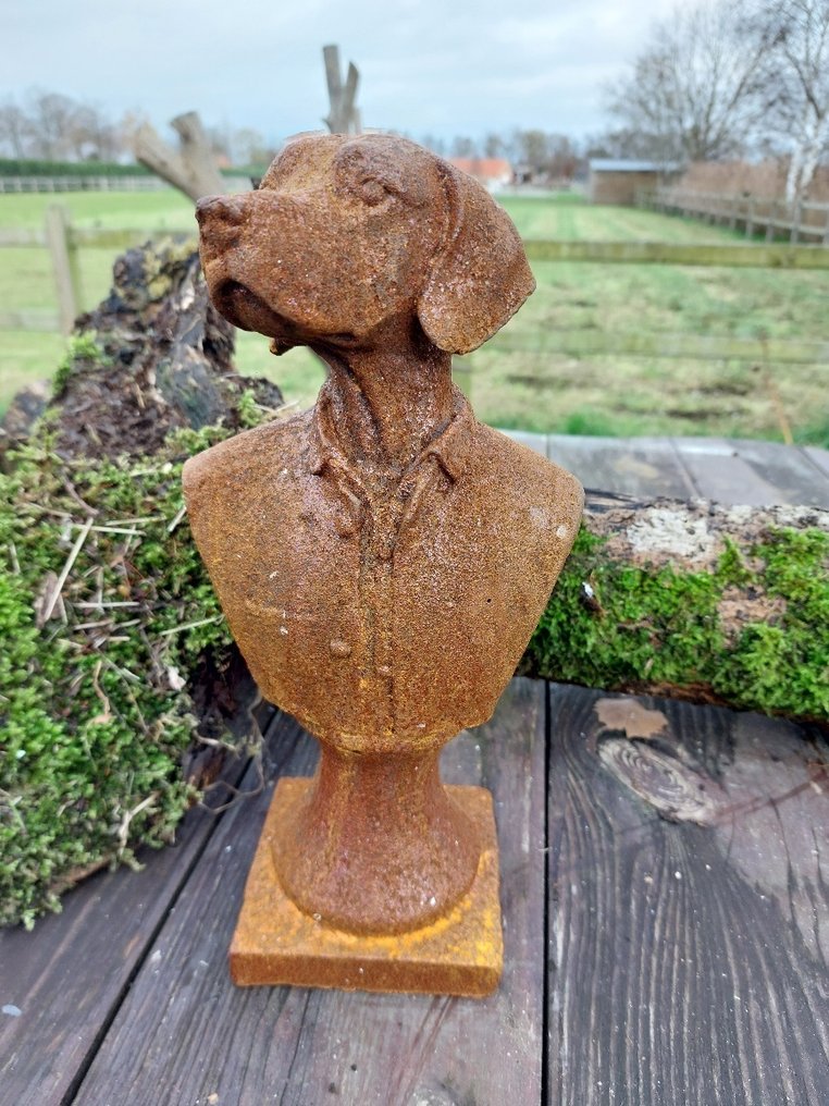 Statue, statue of a dog in costume in cast metal - 26 cm - Fer #4.3