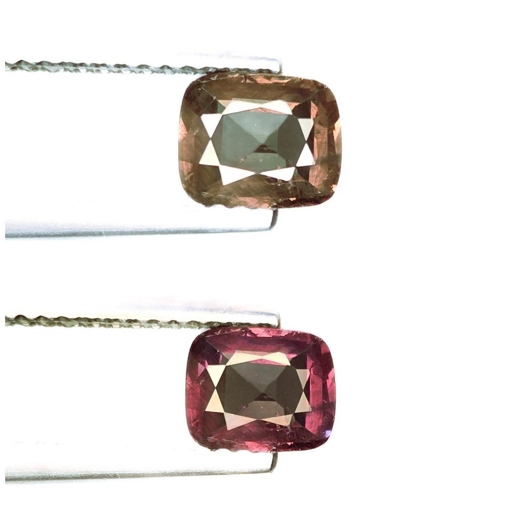 No reserve price Garnet - 1.07 ct - International Gemological Institute (IGI) - 100%Color Change #1.0