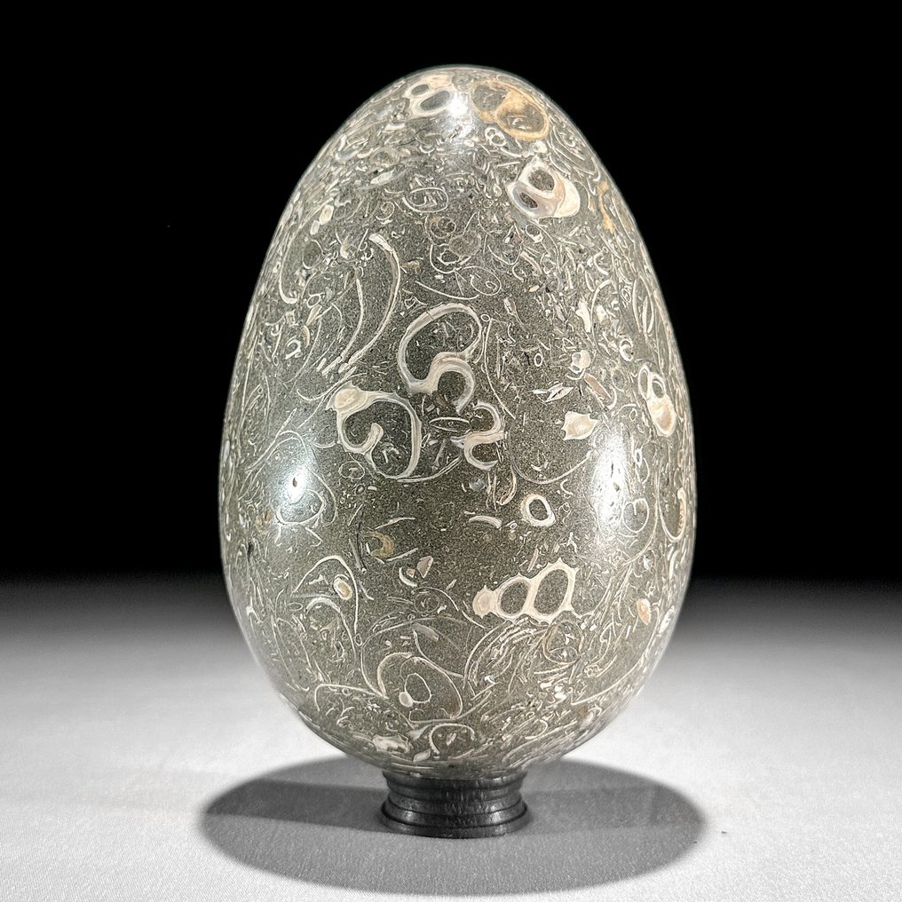 Dekorativt ornament (2) - NO RESERVE PRICE - Wonderful Pair of Turritella Egg-Shaped and Quartz Crystal Cluster on stand - Indonesia #2.1