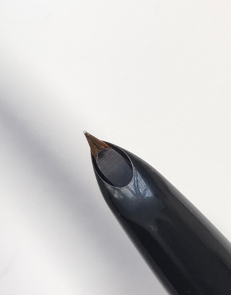 Parker - 51 - No reserve price - Pen #3.2