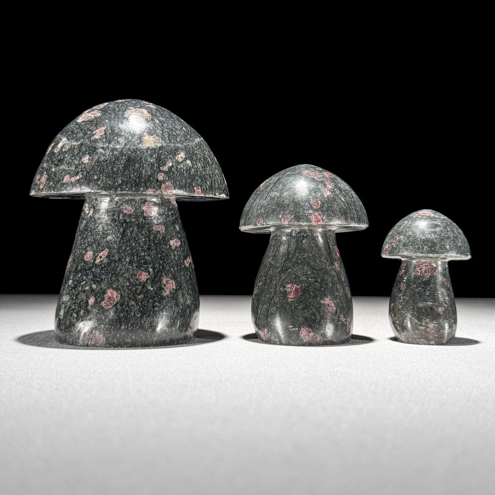 Χωρίς ελάχιστη τιμή - Υπέροχο σετ 3 ακατέργαστων Ruby Zoisite. Μούρα-σχήμα- 1600 g - (3) #1.0