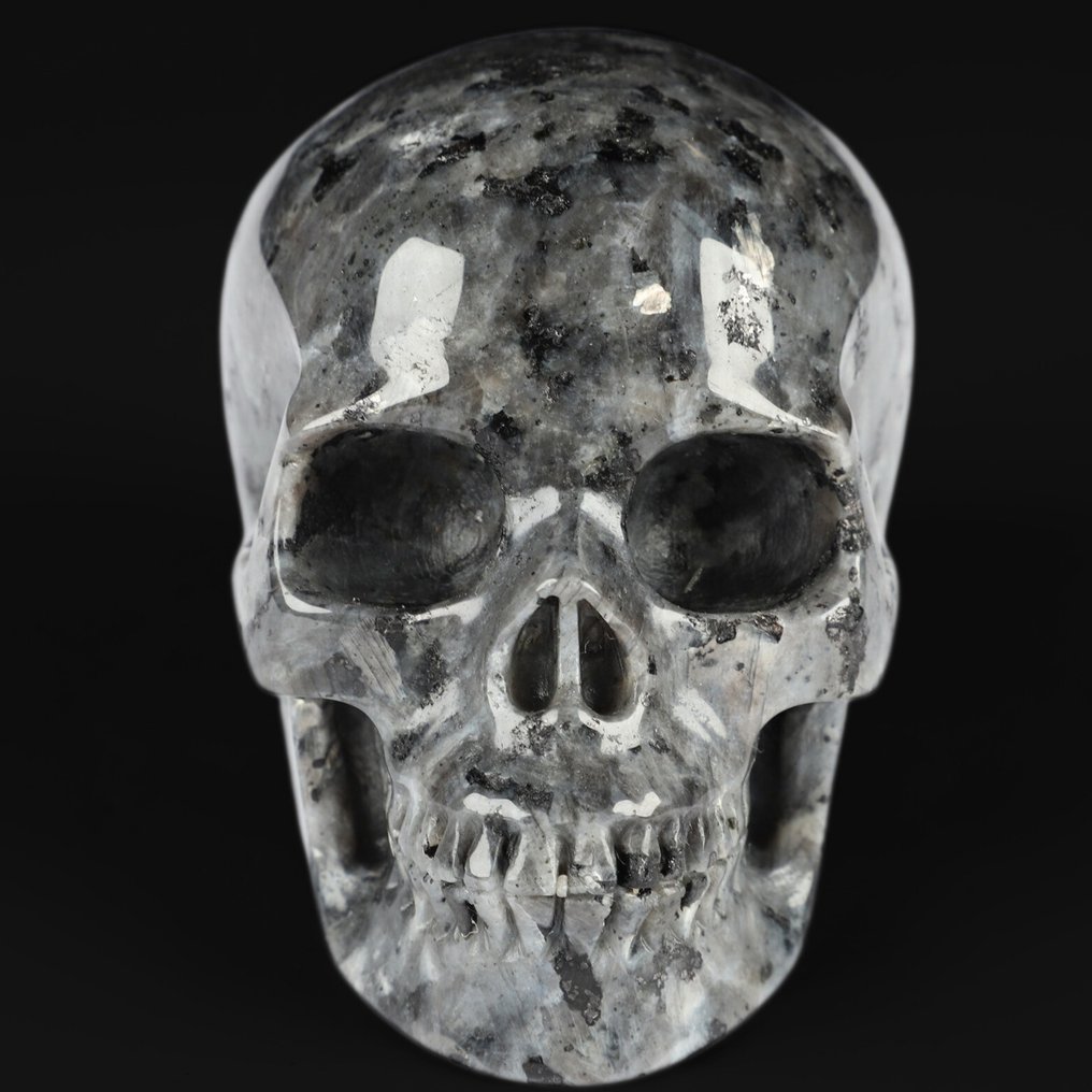 Teschio di Larvikite cielo stellato 483 g Messa a terra - Stabilità - Connessione 8,8 x 5,9 x 6,6 cm Teschi - Altezza: 8.8 cm - Larghezza: 5.9 cm- 483 g #1.0