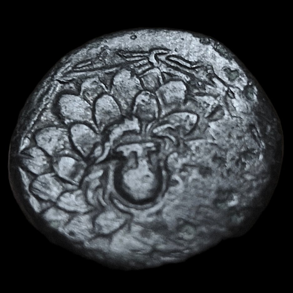 本都王國，Amisos Æ Time of Mithradates VI Eupator, c. 120-63 BC  (沒有保留價) #1.0