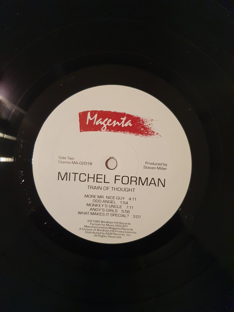 Mitchel Forman, Spencer Barefield, Kevin Eubanks, Randy Bernsen - Différents artistes - Lot of 5 LP Fusion and Avantgarde jazz guitarists - Différents titres - LP - 1985 #3.2