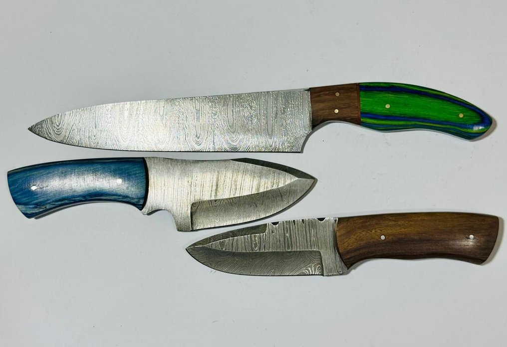 Køkkenkniv - Køkkenbordkniv (0110) - Eksotisk træhåndtag og foldet stål - Förenta staterna - Køkkentafelkniv #1.0
