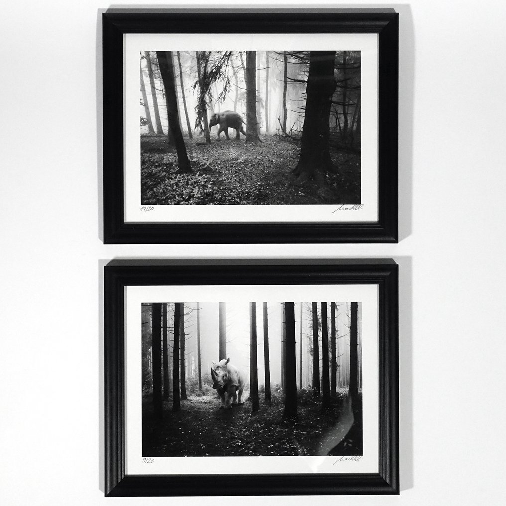 Frank Machalowski - Two framed photographs from the series 'Tierwald' #2.1