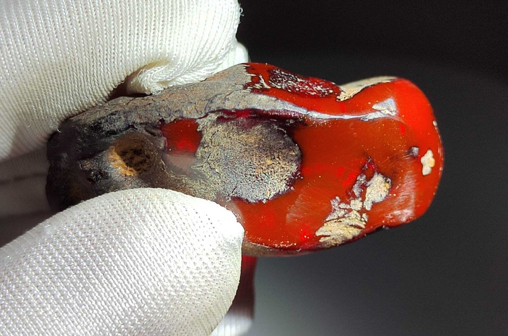 Dominican Amber!! High Quality - 175 carats - No Reserve Price - Amber (No reserve price) #3.2