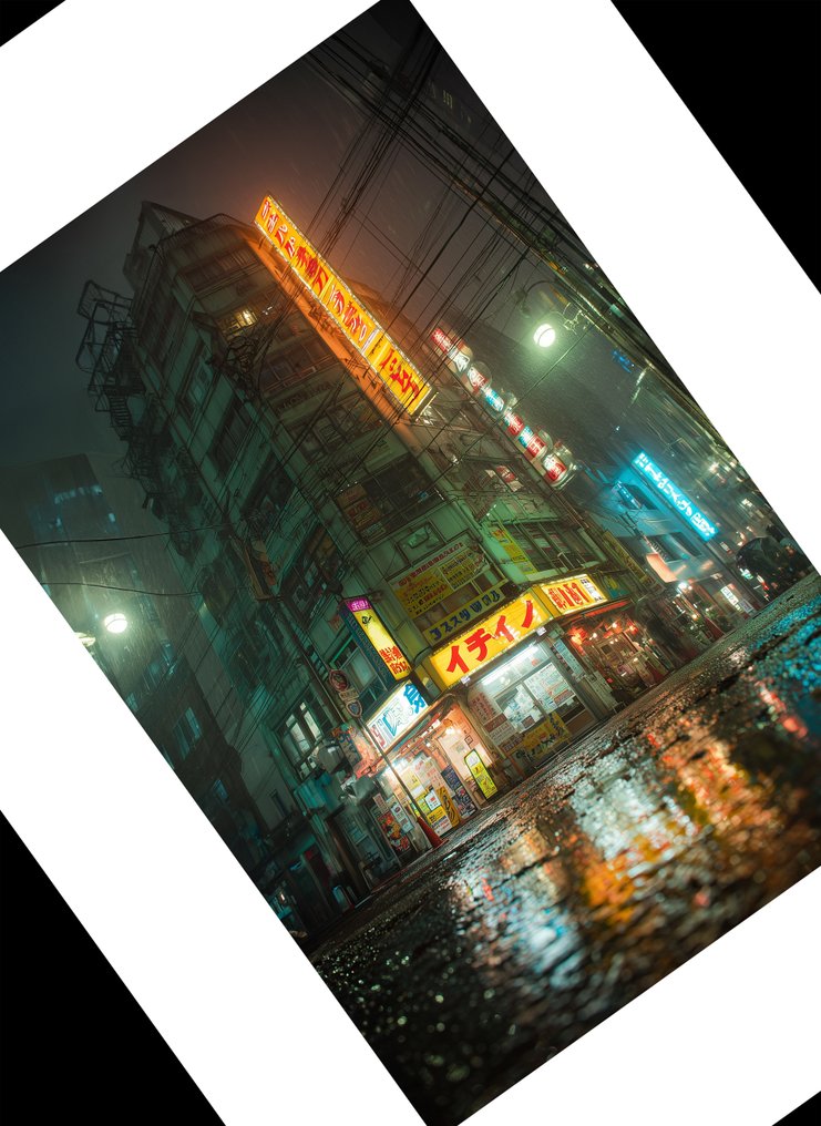 La Chibroneuse - Shinjuku Rainfall - XL #2.1