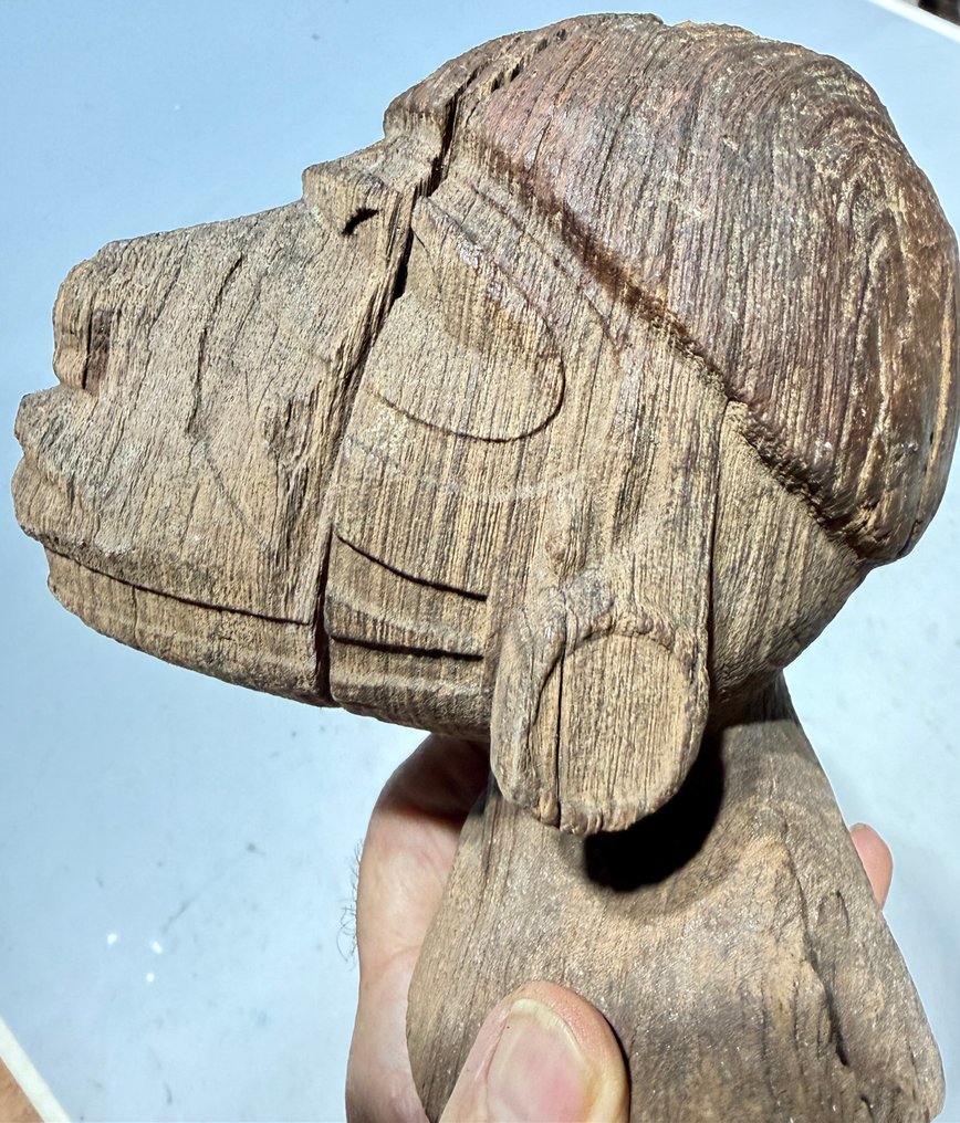 祖先头 - 新喬治島馬羅沃潟湖 - 所羅門群島 (沒有保留價) #4.3