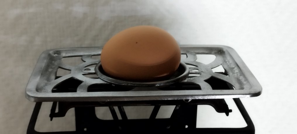 Bilatérale - incubation - Beam scale -  Weigh eggs - Steel #3.2