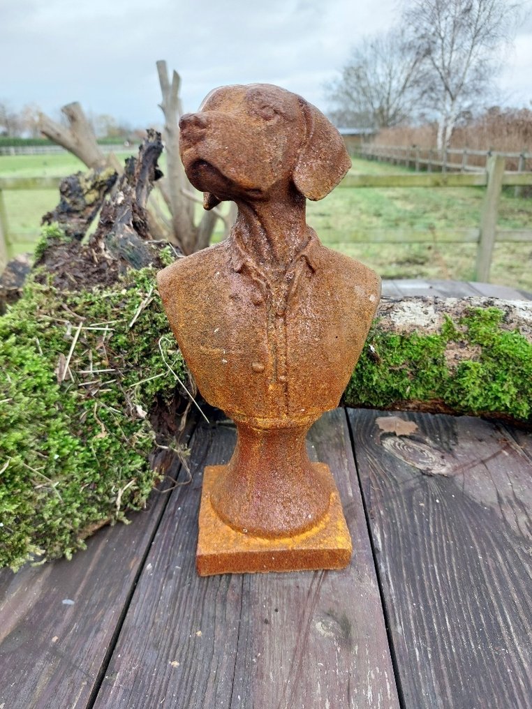 Statue, statue of a dog in costume in cast metal - 26 cm - Fer #1.0