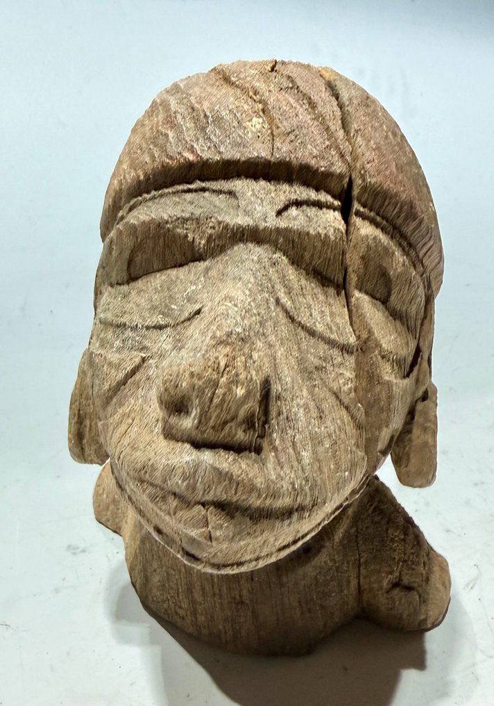 祖先头 - 新喬治島馬羅沃潟湖 - 所羅門群島 (沒有保留價) #1.0