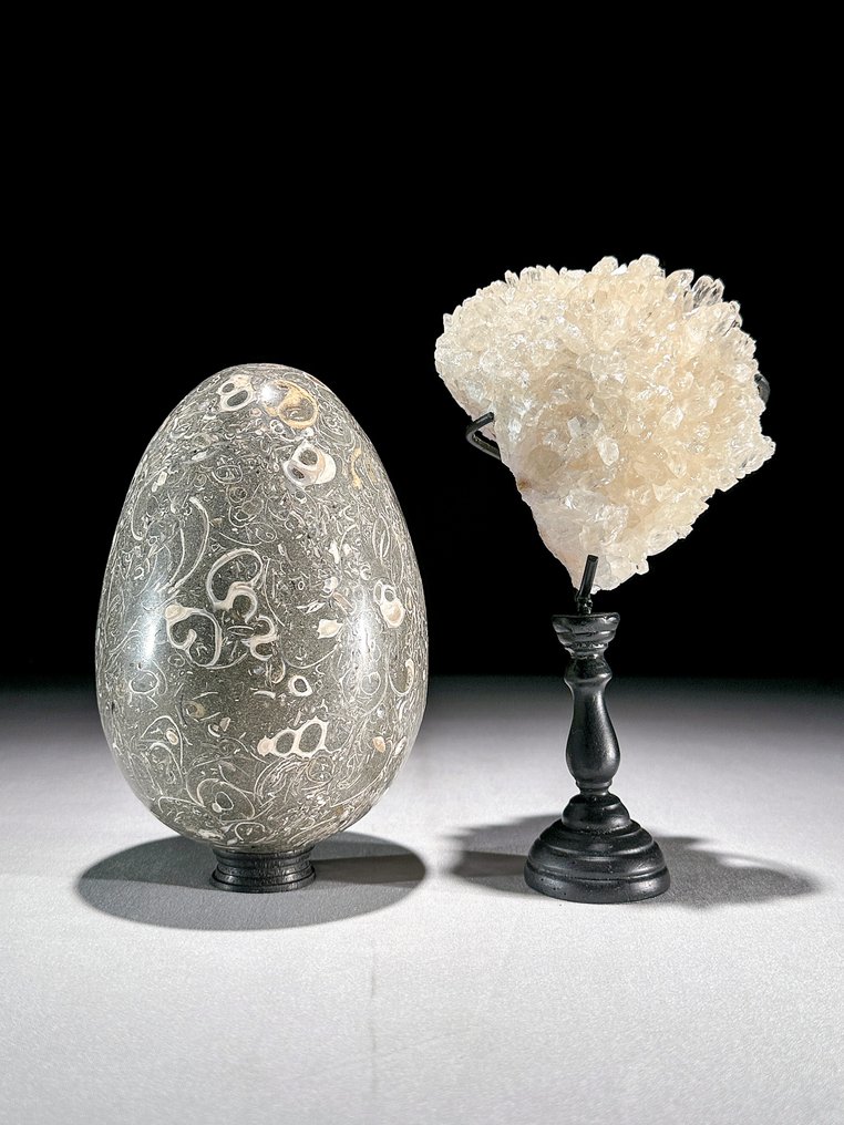 Dekorativt ornament (2) - NO RESERVE PRICE - Wonderful Pair of Turritella Egg-Shaped and Quartz Crystal Cluster on stand - Indonesia #1.0