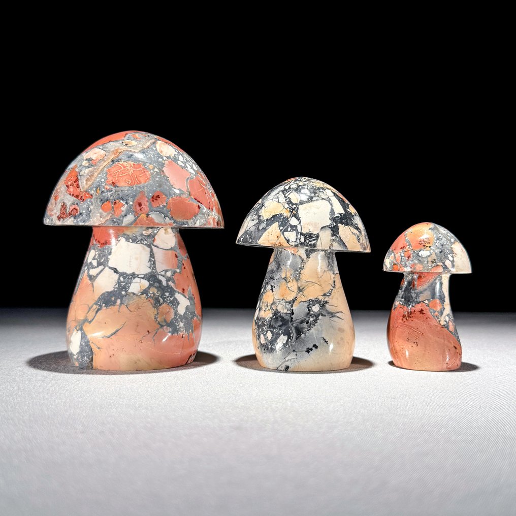NO RESERVE PRICE - Wonderful Set 3 of Red Maligano Jasper mushrooms shaped- 1300 g - (3) #1.0
