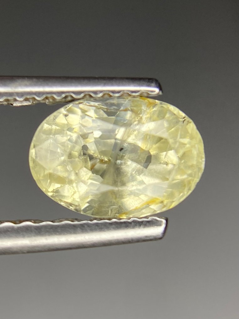 Ingen reservasjonspris - 1 pcs Gul Safir - 1.86 ct - Internasjonal forening for fargede edelstener (ICA GemLab) #1.0