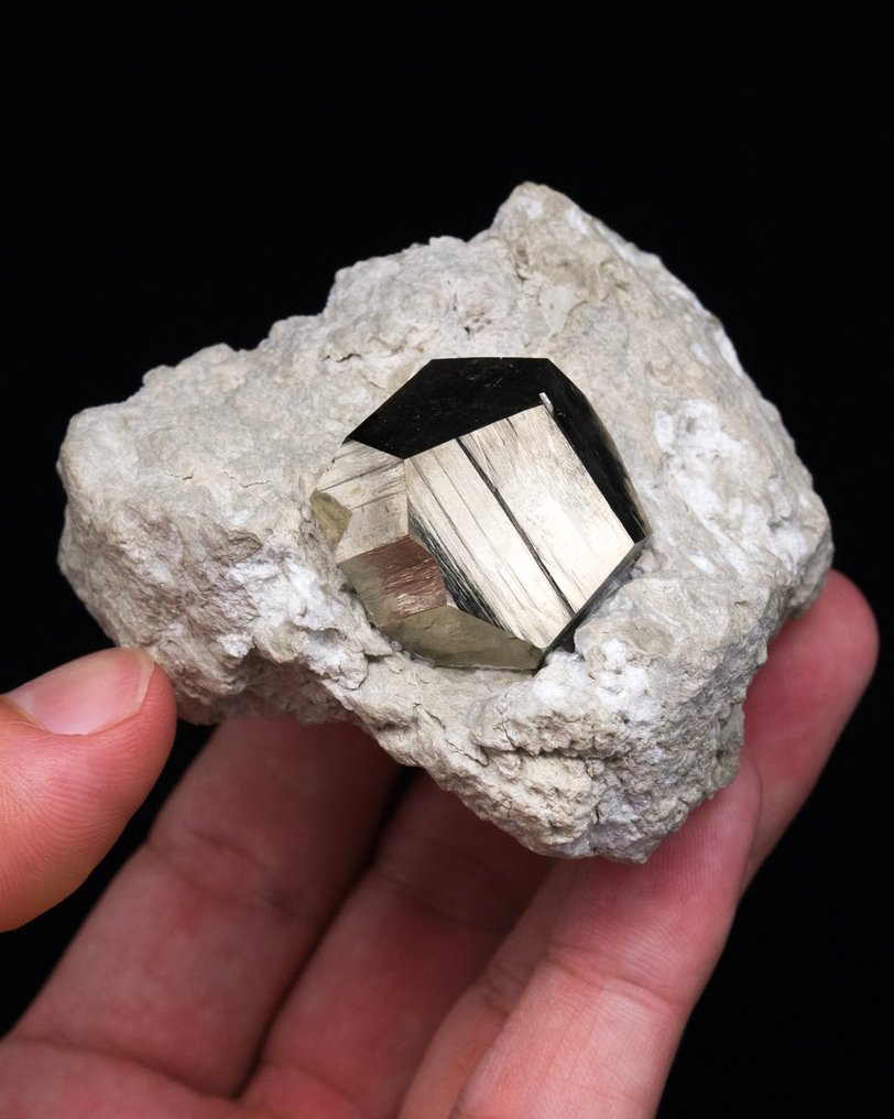 Elegáns pirithoid pirit agyagkő mátrixán - Magasság: 5.5 cm - Szélesség: 6.6 cm- 177 g - (1) #3.2