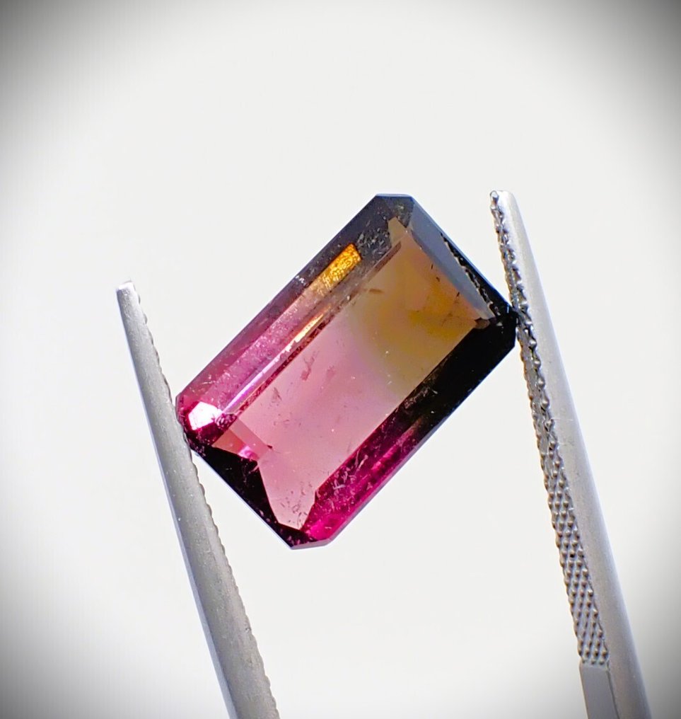Mangefarvet Turmalin  - 5.57 ct - Antwerp Laboratory for Gemstone Testing (ALGT) - Bi-color sjælden #2.1