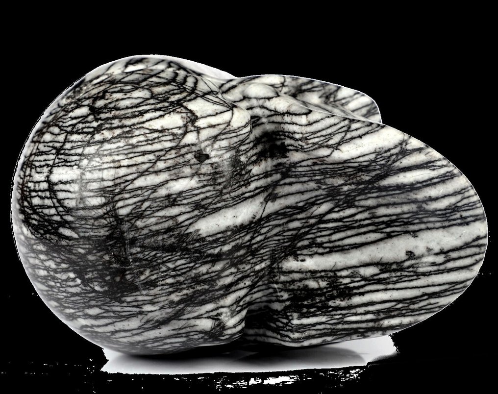 Jasper 448克 8.90 x 6.40厘米 魔法蛛网网络巫术碧玉骷髅 Hexenstein- 450 g #2.1