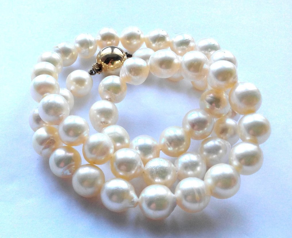 Zonder minimumprijs - Halsketting 14 kt geelgoud - zoetwaterparels tot 8 mm. #1.0