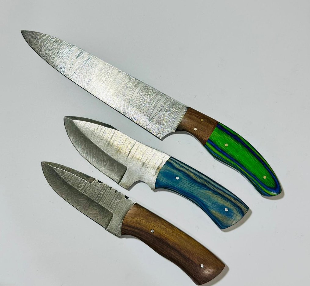 Køkkenkniv - Køkkenbordkniv (0110) - Eksotisk træhåndtag og foldet stål - Förenta staterna - Køkkentafelkniv #4.3