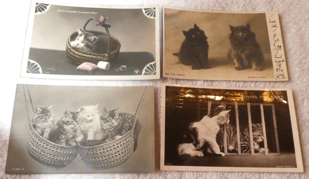 动物 - 猫 - 猫 - 小日历 - 一本关于猫的画作集 - 一本关于猫的智慧的书 - 明信片 (256) - 1950-2000 #1.0