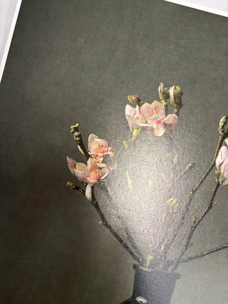 Tessa Posthuma de Boer - Msgnolia #6 #3.2