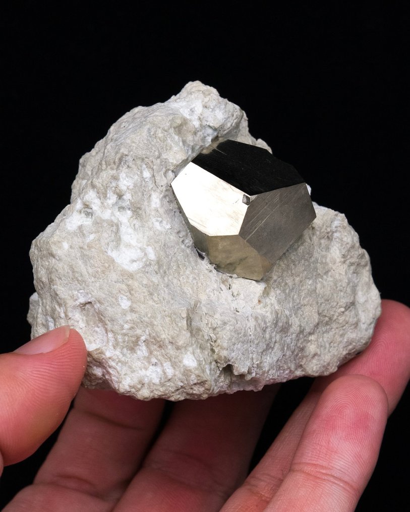 Elegáns pirithoid pirit agyagkő mátrixán - Magasság: 5.5 cm - Szélesség: 6.6 cm- 177 g - (1) #4.3