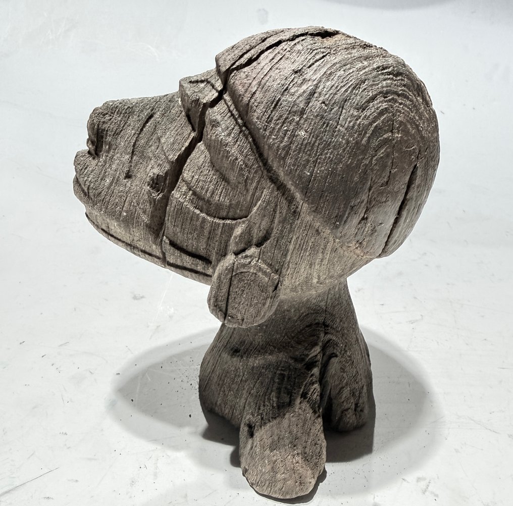 祖先头 - 新喬治島馬羅沃潟湖 - 所羅門群島 (沒有保留價) #2.1