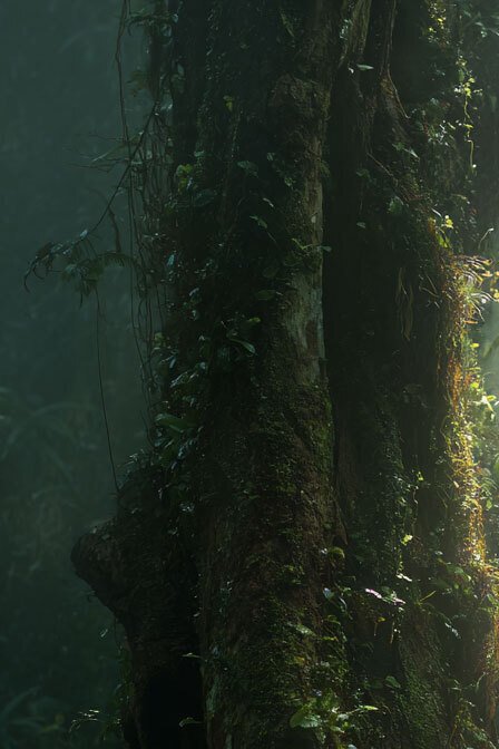 Miss Evoke (XX) - Sublimity #1.0