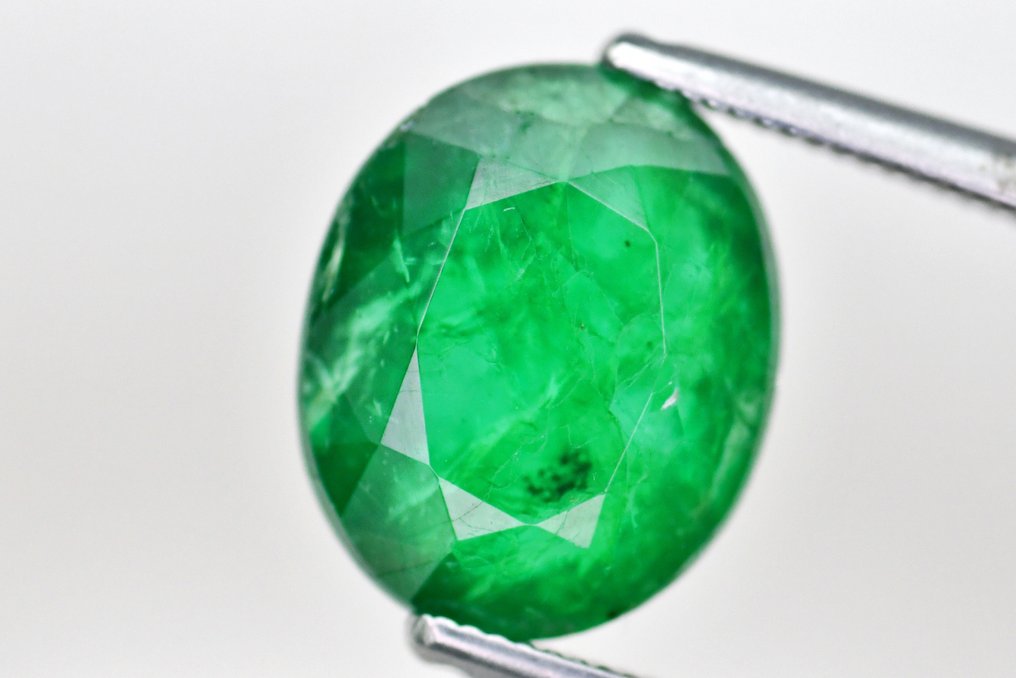 Zonder minimumprijs - 1 pcs Groen Smaragd - 3.04 ct - International Gemological Institute (IGI) - Levendig groen Zambiaans #1.0