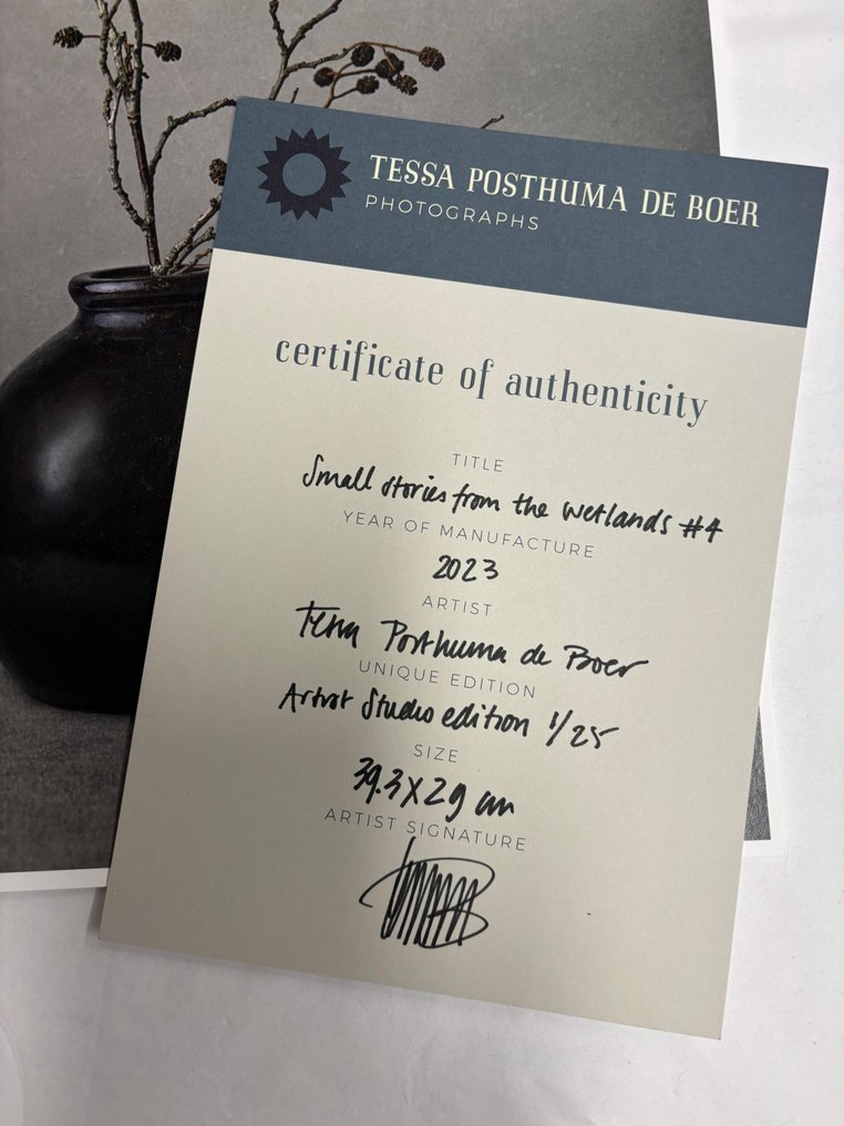 Tessa Posthuma de Boer - Small stories from the Wetlands no.4 #2.1