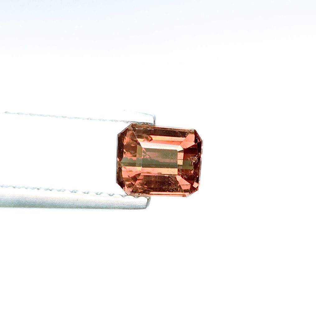 No reserve price Garnet - 1.17 ct - International Gemological Institute (IGI) - 100%Color Change #1.0