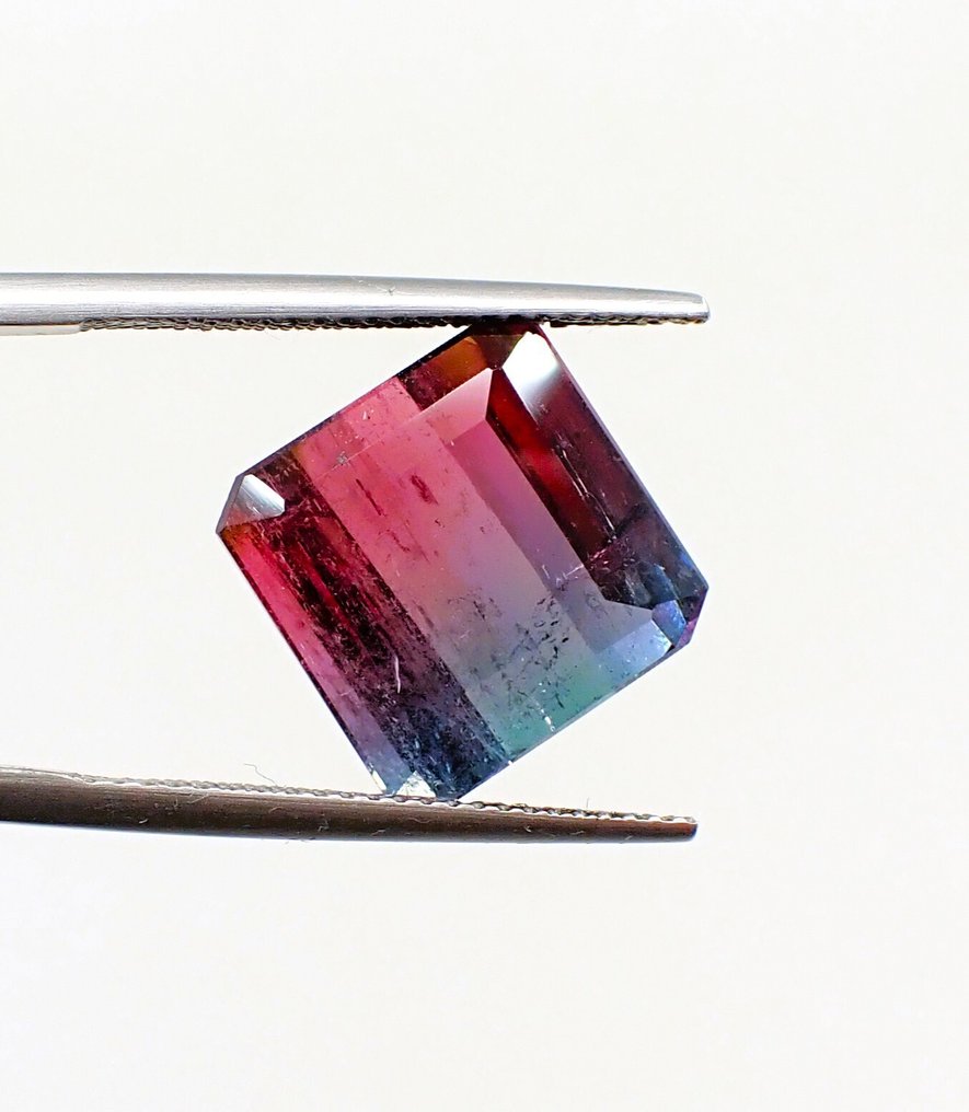 多色 电气石  - 11.58 ct - 安特卫普宝石检测实验室（ALGT） - 双色稀有 #1.0