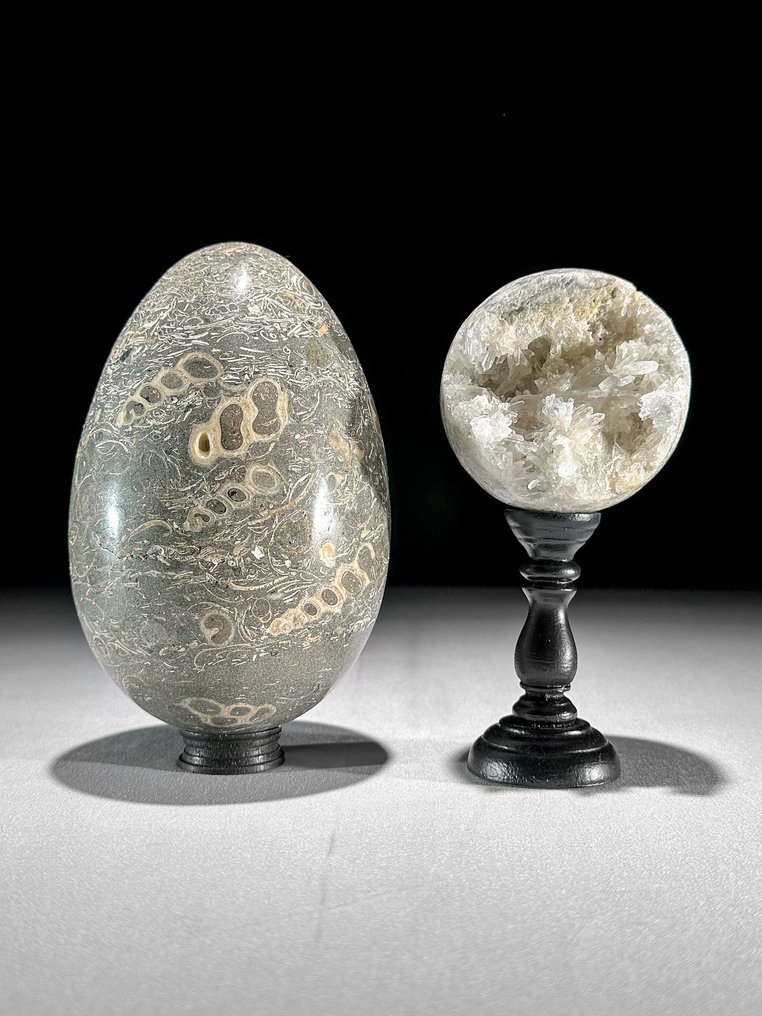 裝飾飾物 - 无底价 - 一对美丽的Turritella蛋形和水晶石英球体,配有定制底座 - 印度尼西亞 #1.0