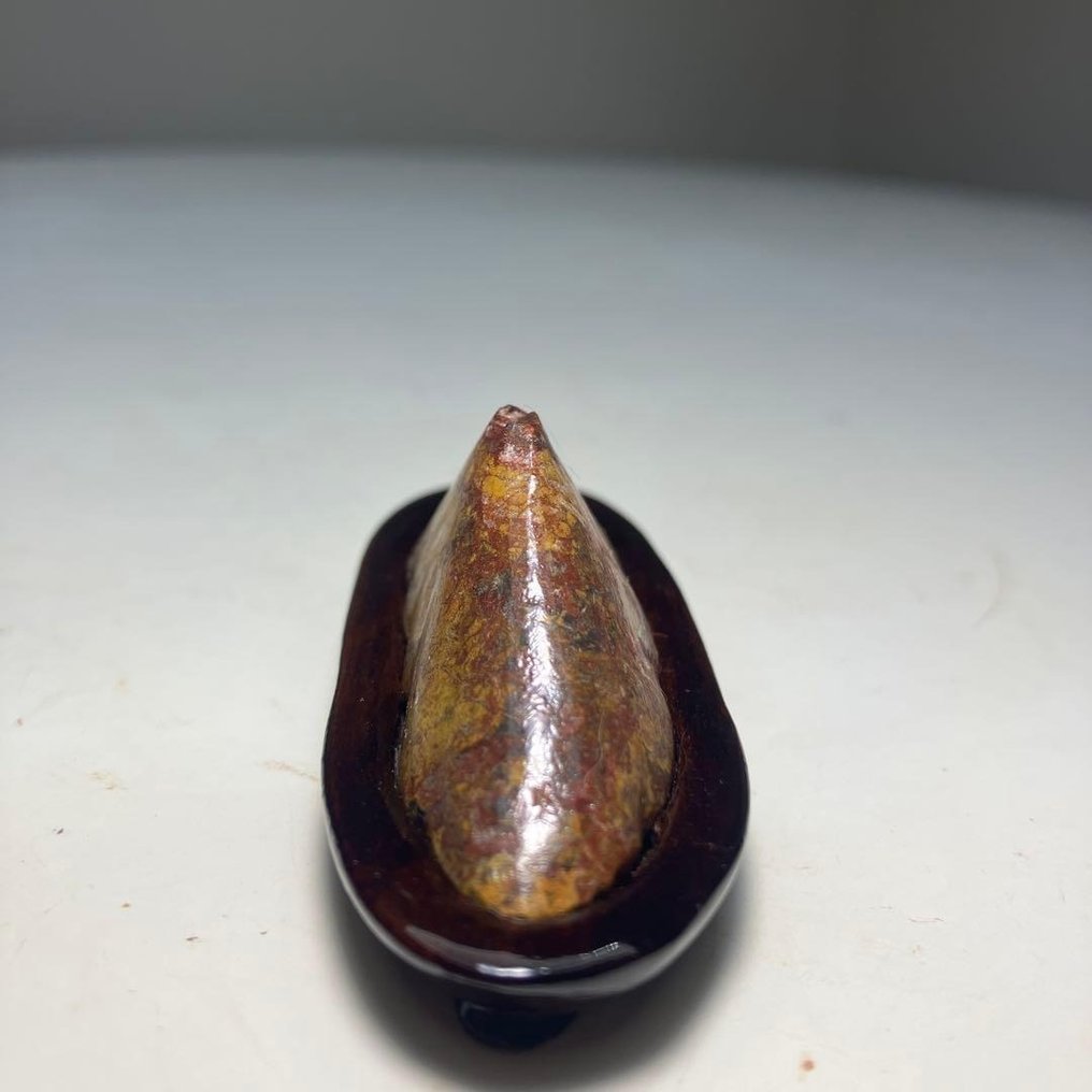 石头 - 富士山形的Yojuro石 - NA  (没有保留价) #3.2