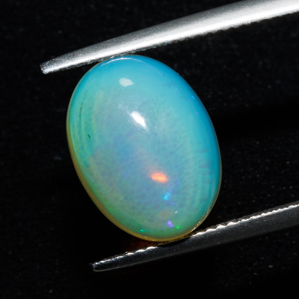 Zonder minimumprijs Groen, Geel, Wit Opaal - 5.06 ct - International Gemological Institute (IGI) #1.0