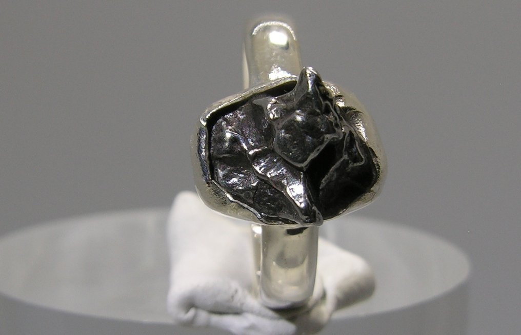 Campo del Cielo meteorite Crystal - Height: 26 mm - Width: 19 mm- 4.69 g - (1) #2.1