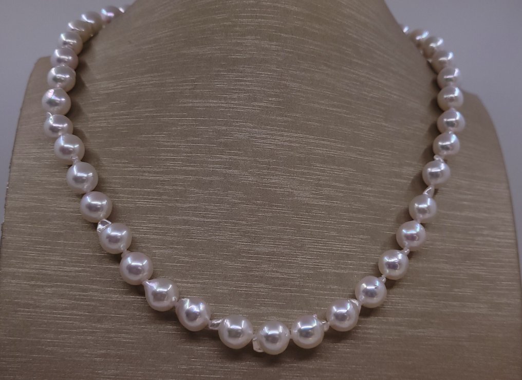 没有保留价 - 项链 8x8.5毫米 Akoya 珍珠 #3.2