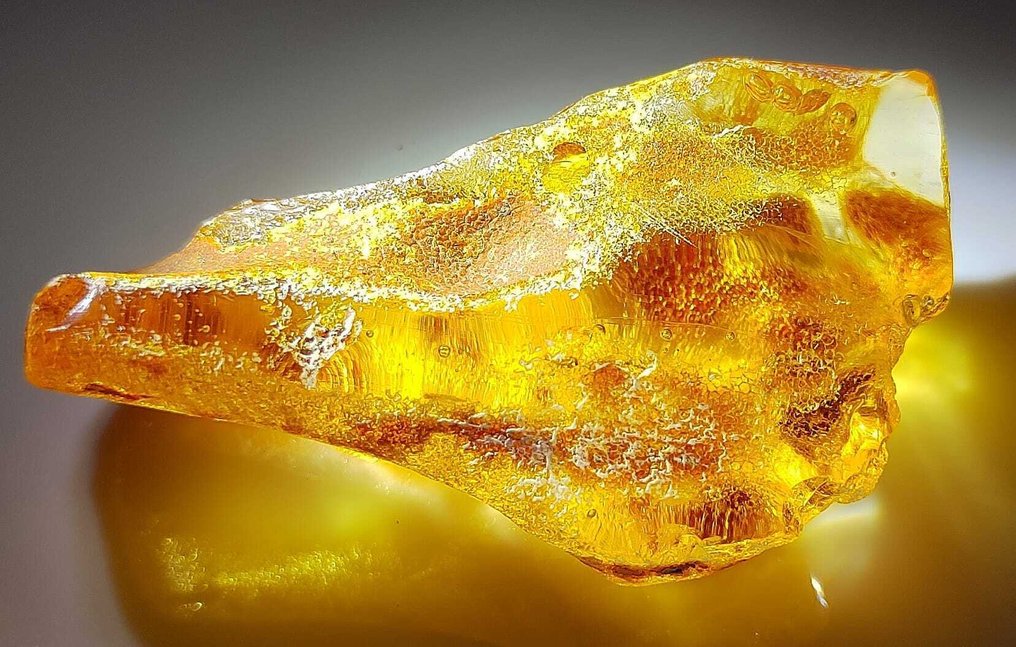 Âmbar dominicano!! Qualidade AAA - 185cts - Sem preço de reserva- 37 g #1.0