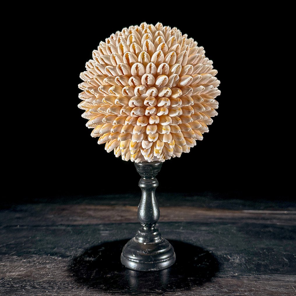 Decorative ornament (2) - NO RESERVE PRICE - Wonderful Pair of Shell Ball & Yellow Maligano Sphere on custom stands - Indonesia #2.1