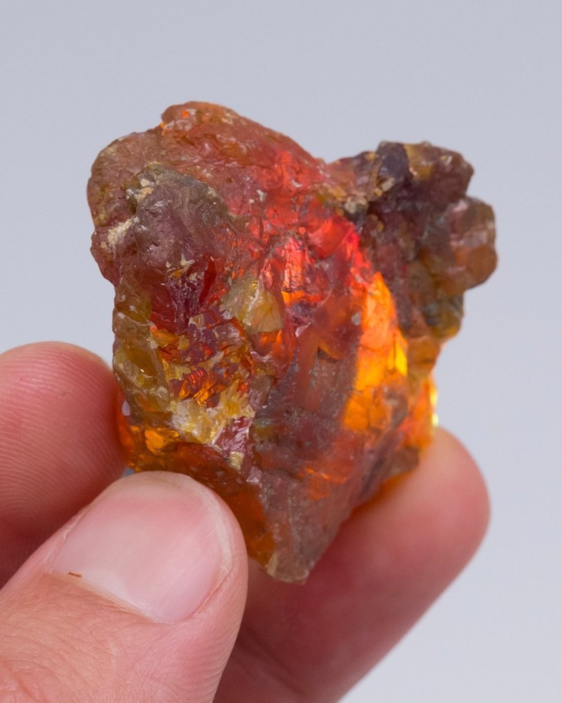 GEM Sphalerit Floater (Klassisches Material) - Höhe: 4.1 cm - Breite: 4.3 cm- 60 g - (1) #4.3