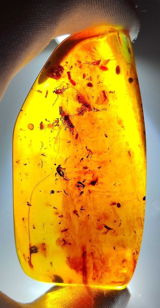 FOSSlL-AISET!! Dominikaaninen meripihka -120 cts- 24 g #1.0