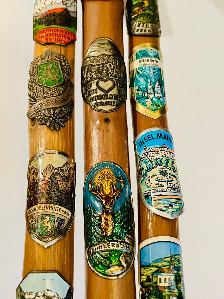 手杖  (3) - 木, 金属 - 阿尔卑斯山徒步杖 #3.2