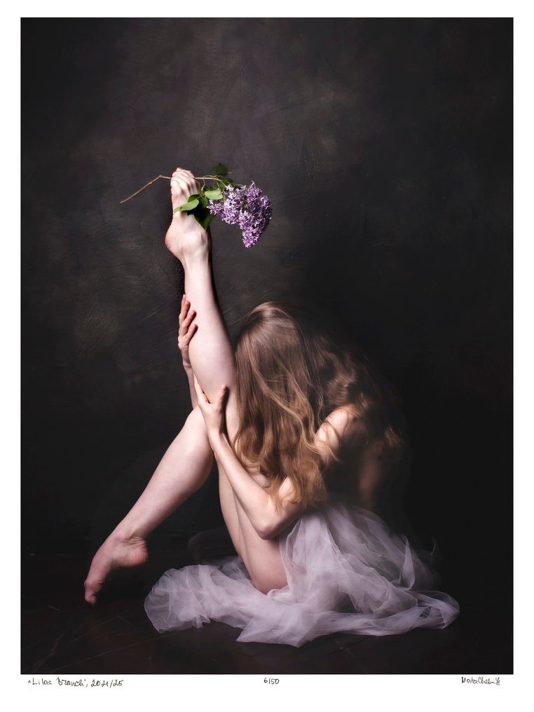 Nata Chebotareva - Lilac Branch #4.3