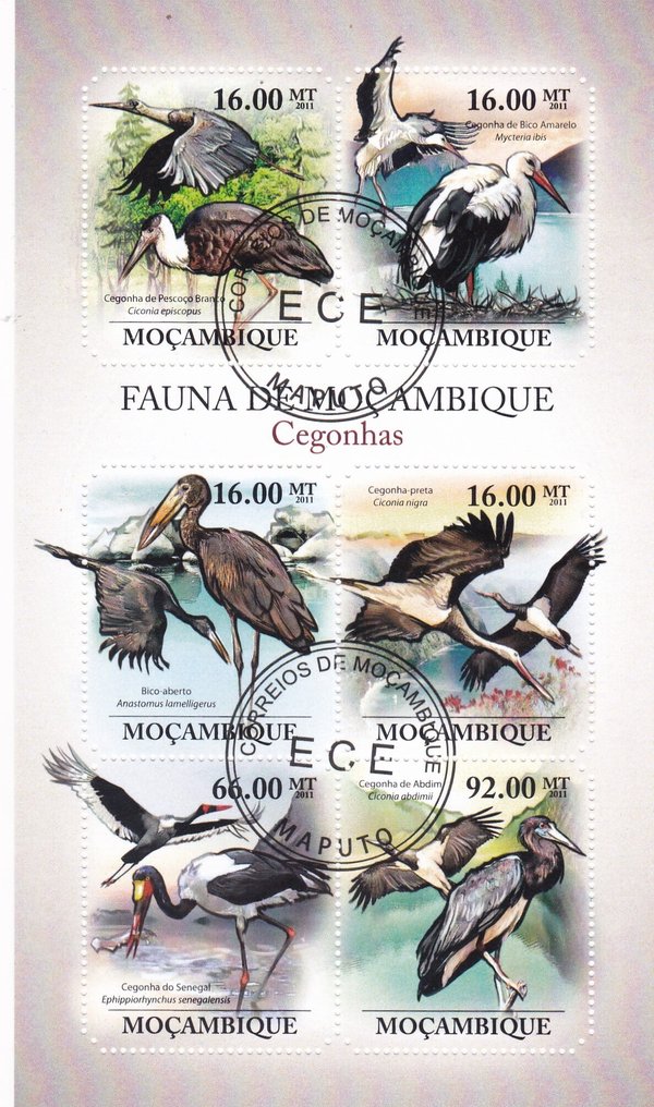 World 2010/2023 - FAUNA 5 - 164 blocks #1.0