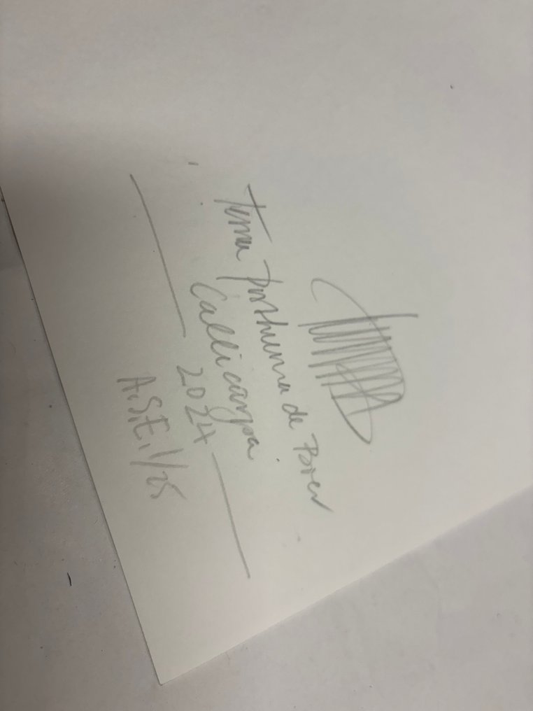 Tessa Posthuma de Boer - Callicarpa #2.1