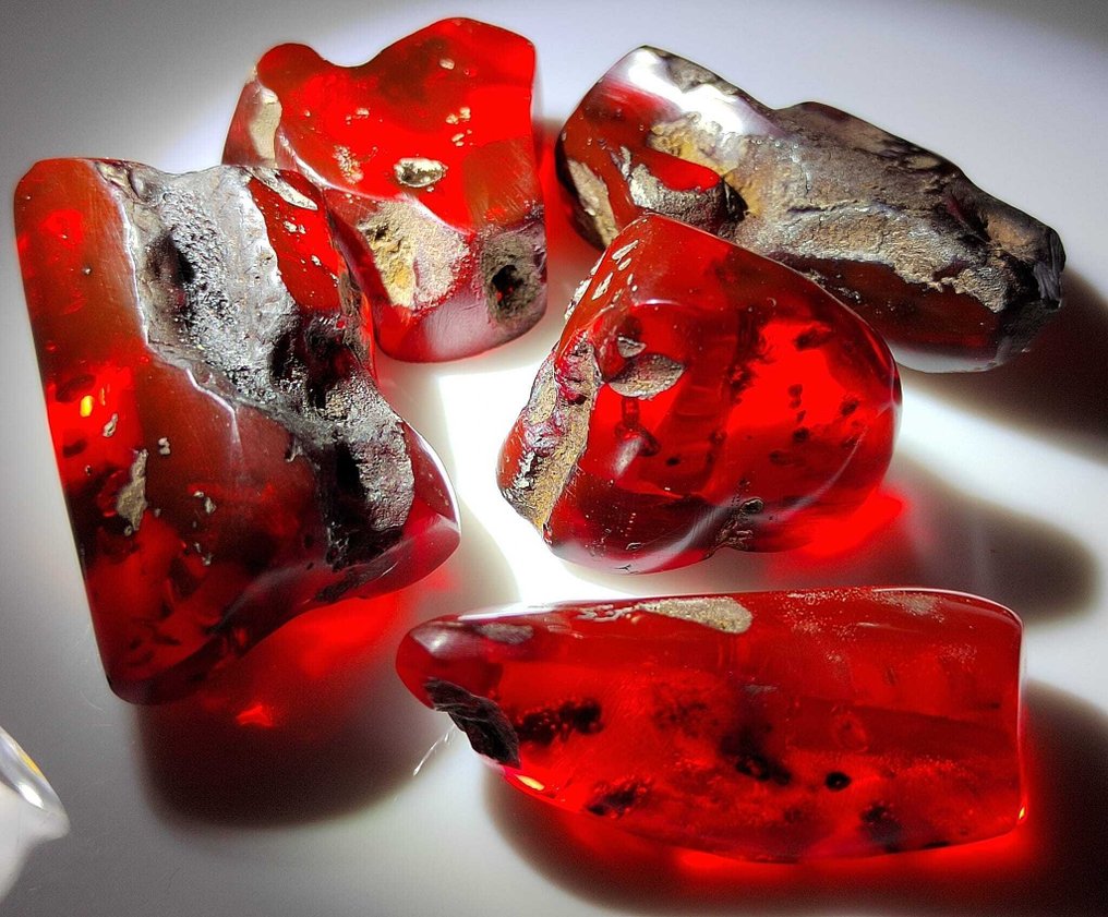 Dominican Amber!! High Quality - 175 carats - No Reserve Price - Amber (No reserve price) #2.1