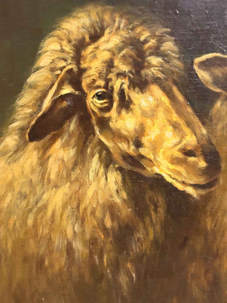 A H Hauquier (XX) - Schapen op stal #3.2